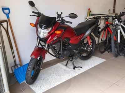 Honda CBF (2021) - Foto 11