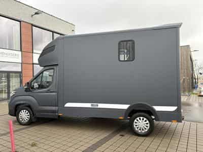 Maxus Deliver 9 3.5T MAXUS DELIVER 9 - MSG STALLION LIGHT (2026) - Foto 15
