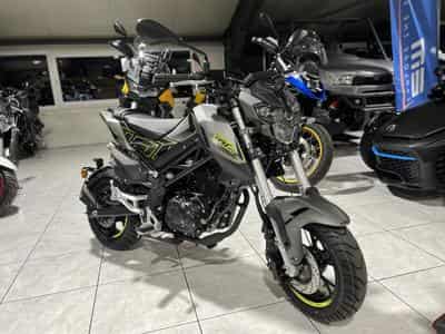 Benelli Tornado TNT (2026) - Photo 7