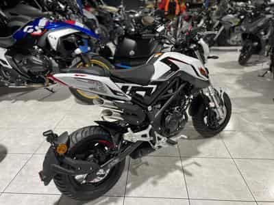 Benelli Tornado TNT (2026) - Photo 3