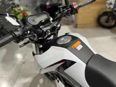 Benelli Tornado TNT (2026) - Photo 6