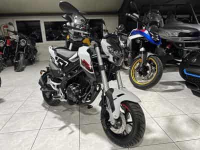 Benelli Tornado TNT (2026) - Photo 7
