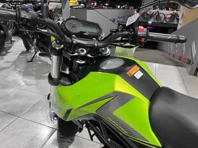 Benelli Tornado NAKED T (2026) - Photo 6