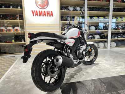 Yamaha XSR (2026) - Photo 3