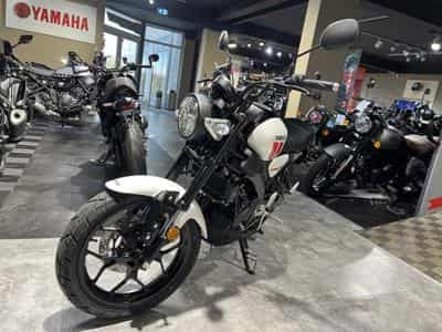 Yamaha XSR (2026) - Photo 2