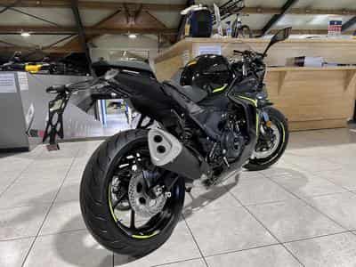 Benelli Tornado 550 (2026) - Photo 3