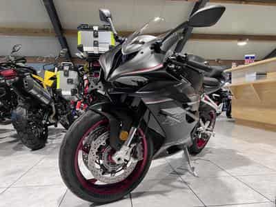 QJmotor SRK 921 RR (2026) - Photo 2