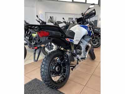 Moto Guzzi Stelvio Model Duecento Tributo (2026) - Photo 4