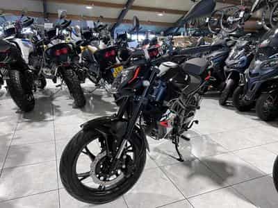Benelli BN (2026) - Foto 2