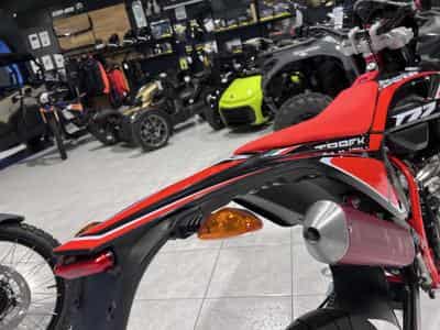 Beta RR Motard 50 TRACK 50 (2026) - Photo 5