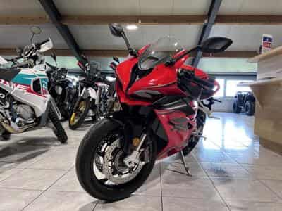 QJmotor SRK 921 RR (2026) - Photo 2