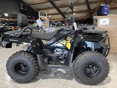 QJmotor SFA 300 T3b 60 km/h (2026) - Photo 1