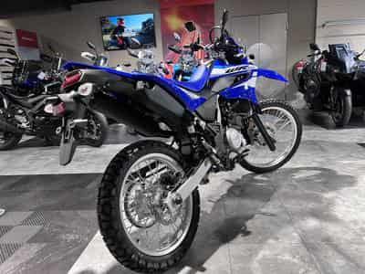 Yamaha WR 125 (2026) - Photo 3