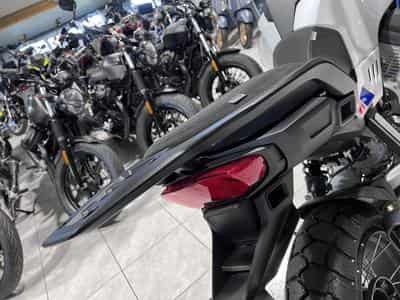 Moto Guzzi Stelvio PFF Rider Assistance Solution 1000  Duecento Tributo (2026) - Photo 5