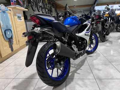 Suzuki GSXR (2026) - Photo 3