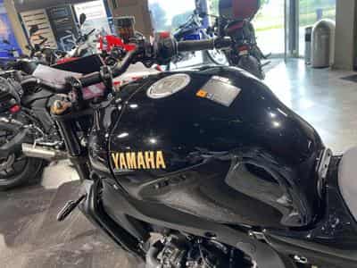 Yamaha XSR (2026) - Photo 6