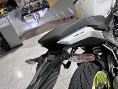Benelli Tornado 550 (2026) - Photo 5