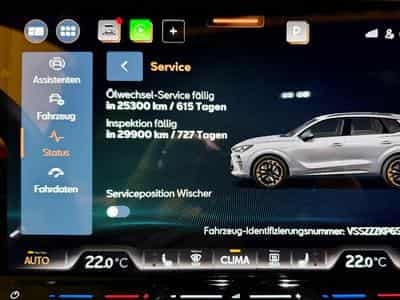 Cupra Terramar 2.0 TSI 265 PS 4Drive (2024) - Foto 10