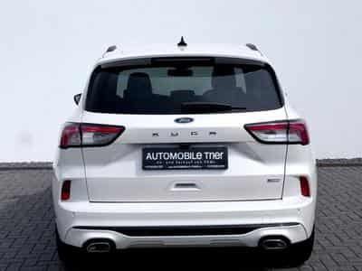 Ford Kuga Kuga 2.5 Hybrid ST-Line X /LED/ACC/HUD/B&amp;O/AHK/ (2020) - Photo 6