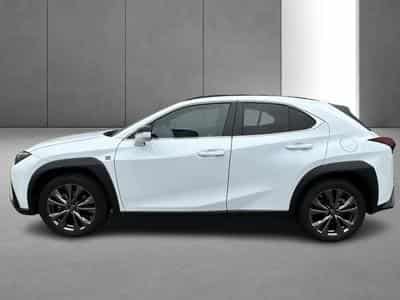 Lexus UX (2023) - Photo 2