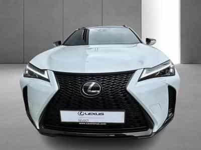 Lexus UX (2023) - Photo 5