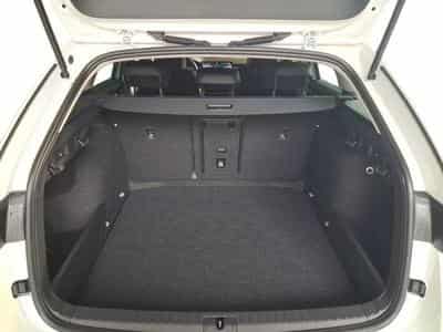 Skoda Octavia Selection (2026) - Photo 15