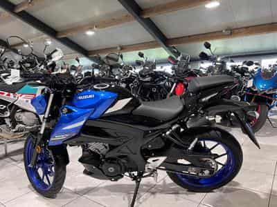Suzuki GSX-S (2026) - Photo 4