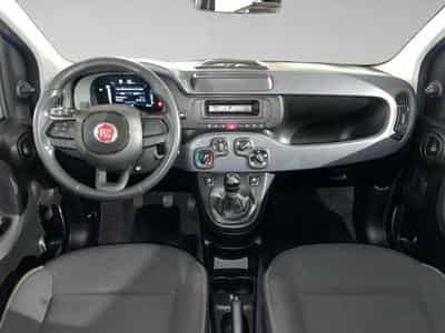 Fiat Panda 1.0 Hybrid 70 MT6 (2024) - Photo 5