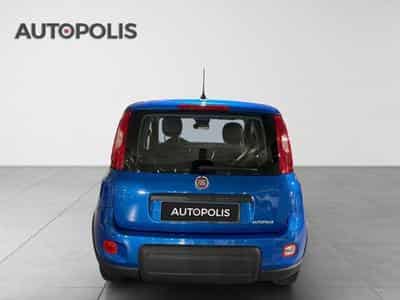 Fiat Panda 1.0 Hybrid 70 MT6 (2024) - Photo 15