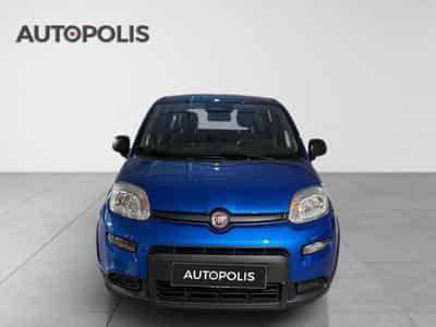 Fiat Panda 1.0 Hybrid 70 MT6 (2024) - Photo 14