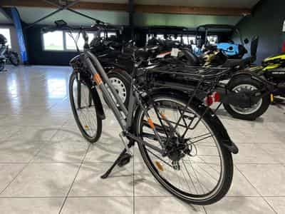 EZO Belleville 36V 500 Wh 250 W 70Nm (2026) - Photo 6