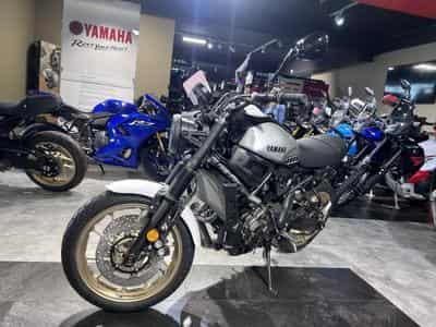 Yamaha XSR LEGACY (2026) - Photo 2