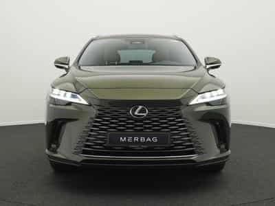 Lexus RX Luxury Line (2024) - Photo 2