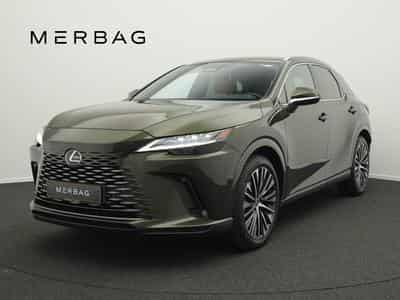 Lexus RX Luxury Line (2024) - Photo 1