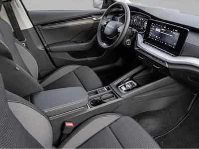 Skoda Octavia (2026) - Photo 6