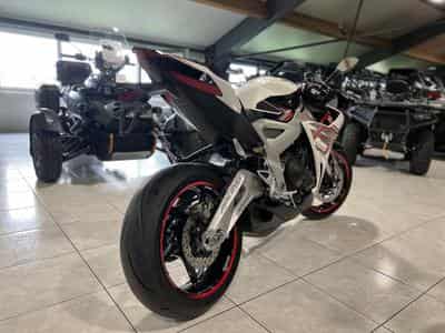 Zontes 703 RR BREMBO (2026) - Photo 3