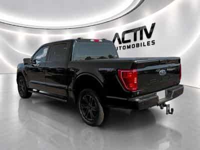 Ford F150 5.0 V8 BIOETHANOL XLT SPORT SUPERCREW (2025) - Photo 5