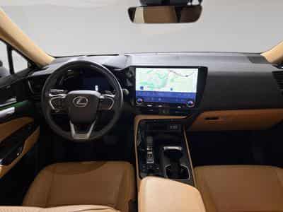 Lexus NX 2.5 NX 350h 4x4 (2024) - Photo 5