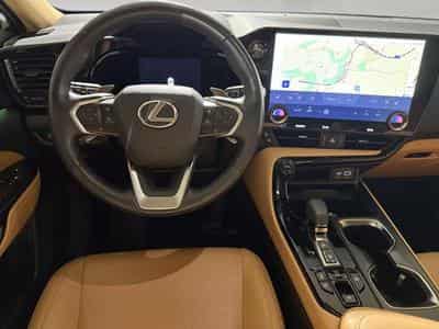 Lexus NX 2.5 NX 350h 4x4 (2024) - Photo 6