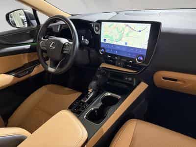 Lexus NX 2.5 NX 350h 4x4 (2024) - Photo 7