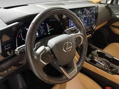 Lexus NX 2.5 NX 350h 4x4 (2024) - Photo 8