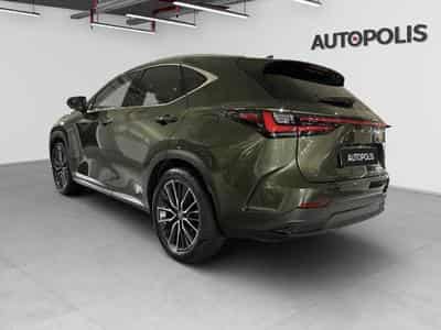 Lexus NX 2.5 NX 350h 4x4 (2024) - Photo 14