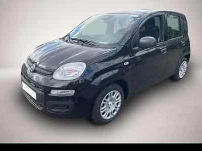 Fiat Panda (2026) - Photo 1