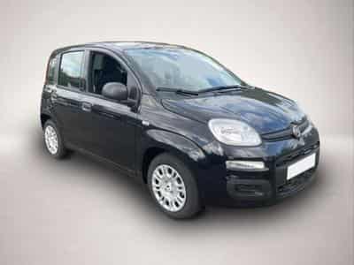 Fiat Panda (2026) - Photo 2