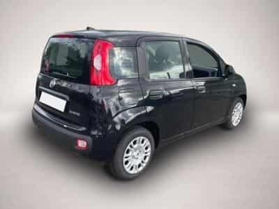 Fiat Panda (2026) - Photo 3