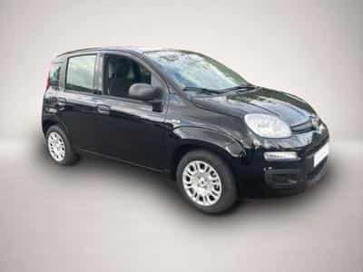 Fiat Panda (2026) - Photo 2