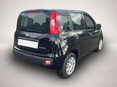Fiat Panda (2026) - Photo 3