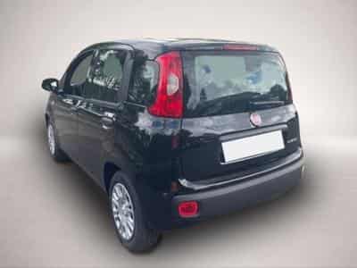 Fiat Panda (2026) - Photo 4