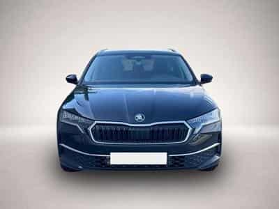 Skoda Octavia (2026) - Photo 2