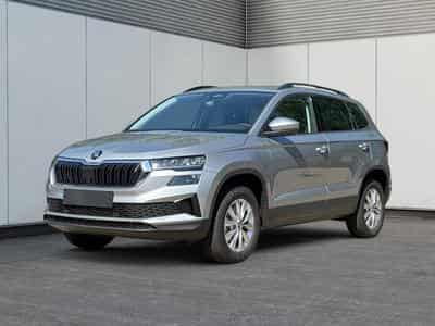 Skoda Karoq Selection (2026) - Photo 1